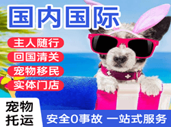 兰旗空运公司国际宠物托运 【国